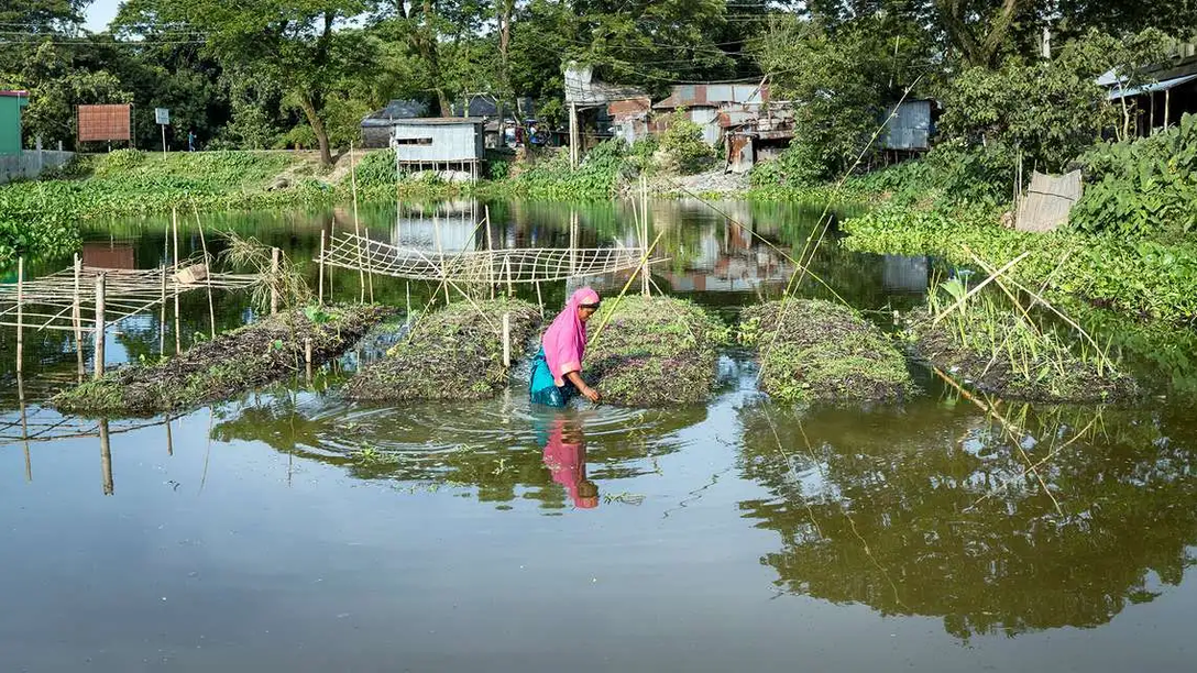 Welthungerhilfe Pressefoto, schwimmender Gemüsegarten in Bangladesch | © Welthungerhilfe Pressefoto, schwimmender Gemüsegarten in Bangladesch